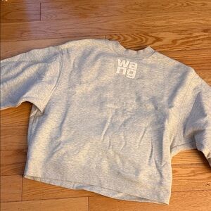 Alexander Wang Light Gray Sweatshirt